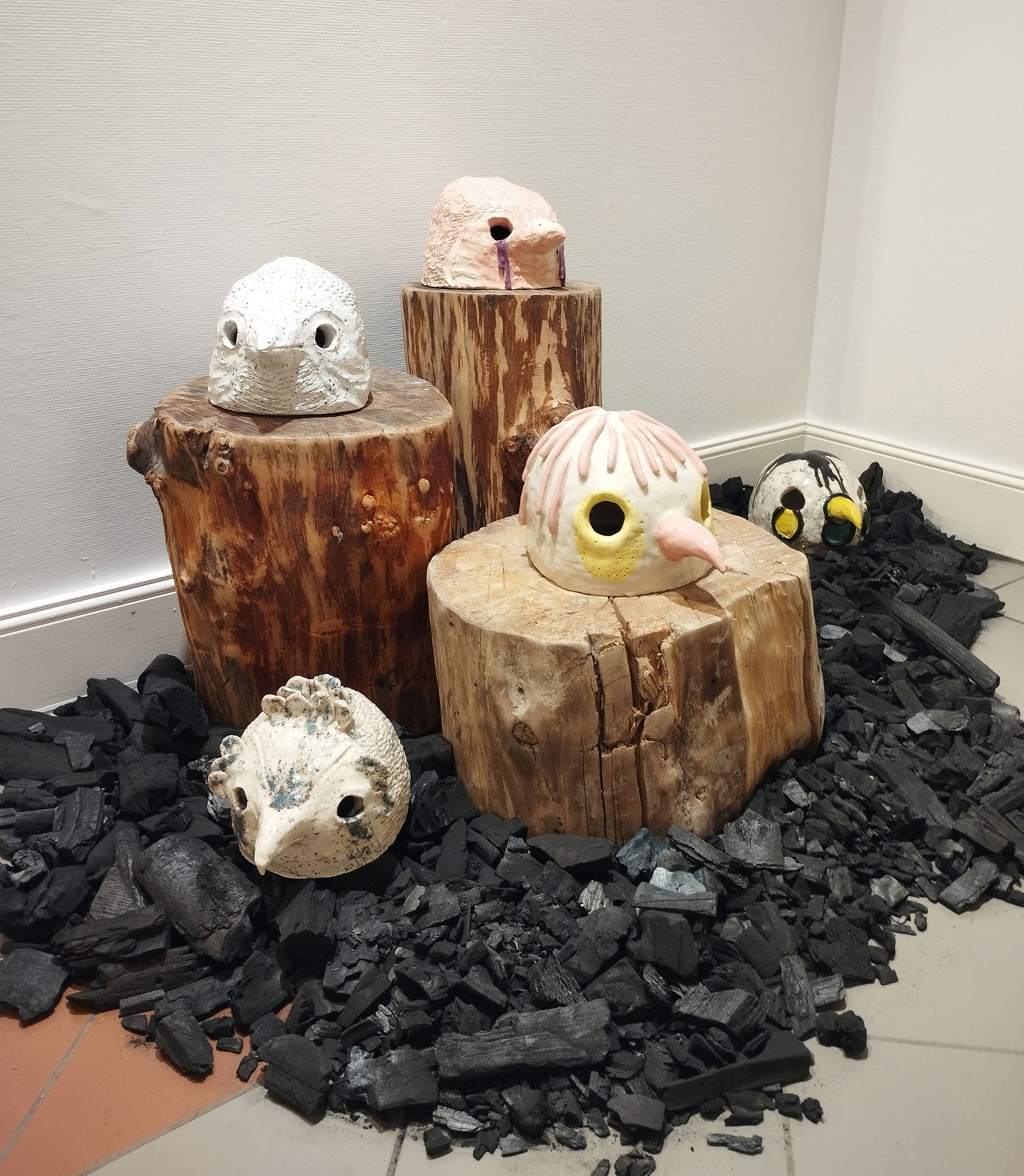 Têtes d'oiseau, 2021